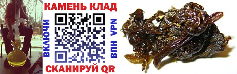 блэк спрут ONION  Заводоуковск  ГАШ AMNESIA HAZE  купить закладку 