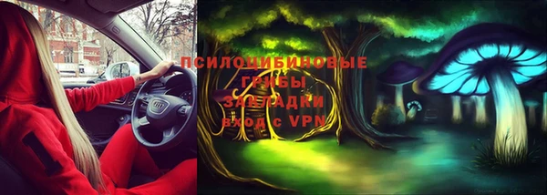 ALPHA PVP Верея