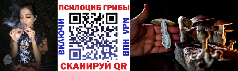 Галлюциногенные грибы MAGIC MUSHROOMS  Заводоуковск 